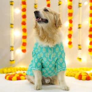 Sanganeri- Teal Dog kurta