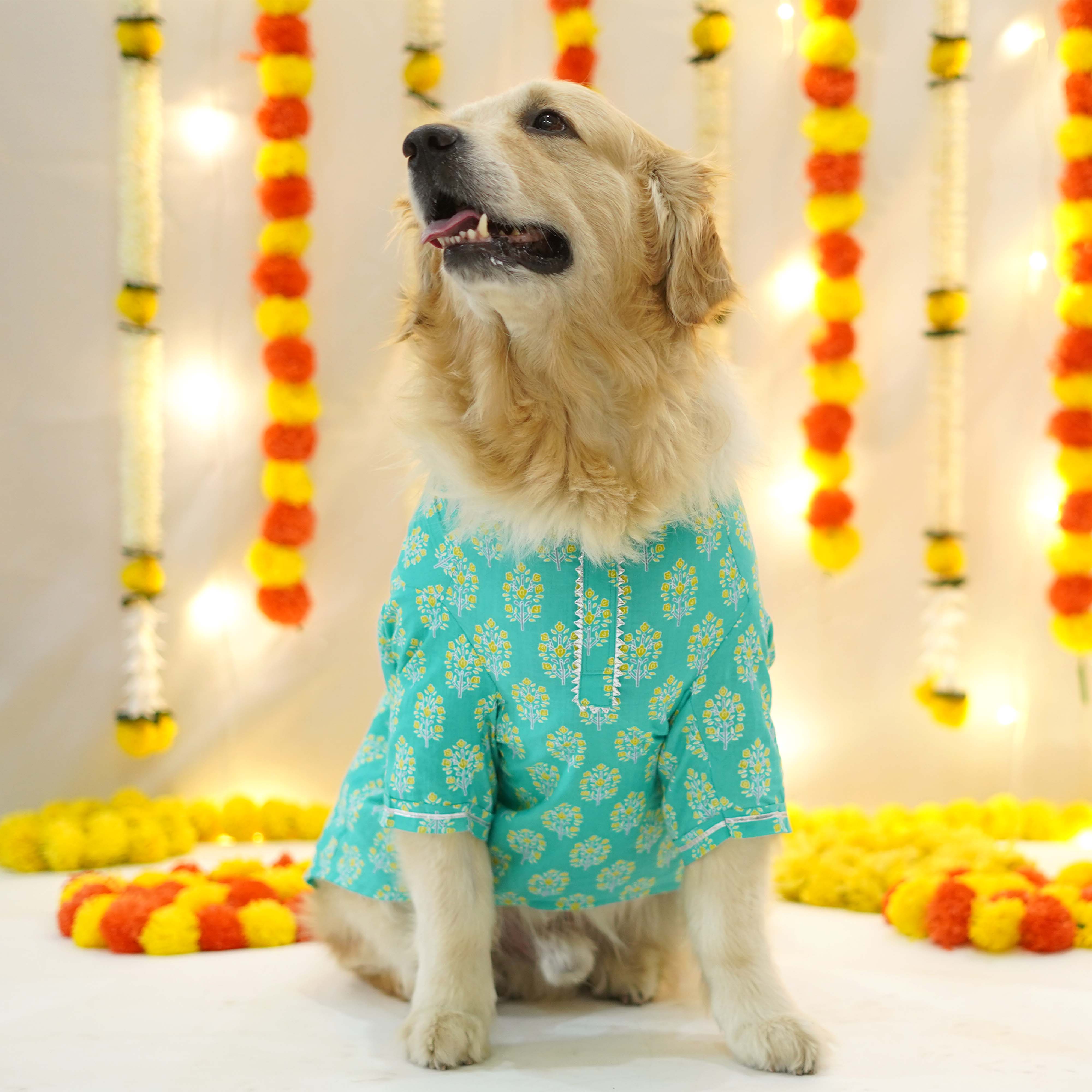 Sanganeri- Teal Dog kurta