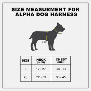 HONEY ALPHA HARNESS