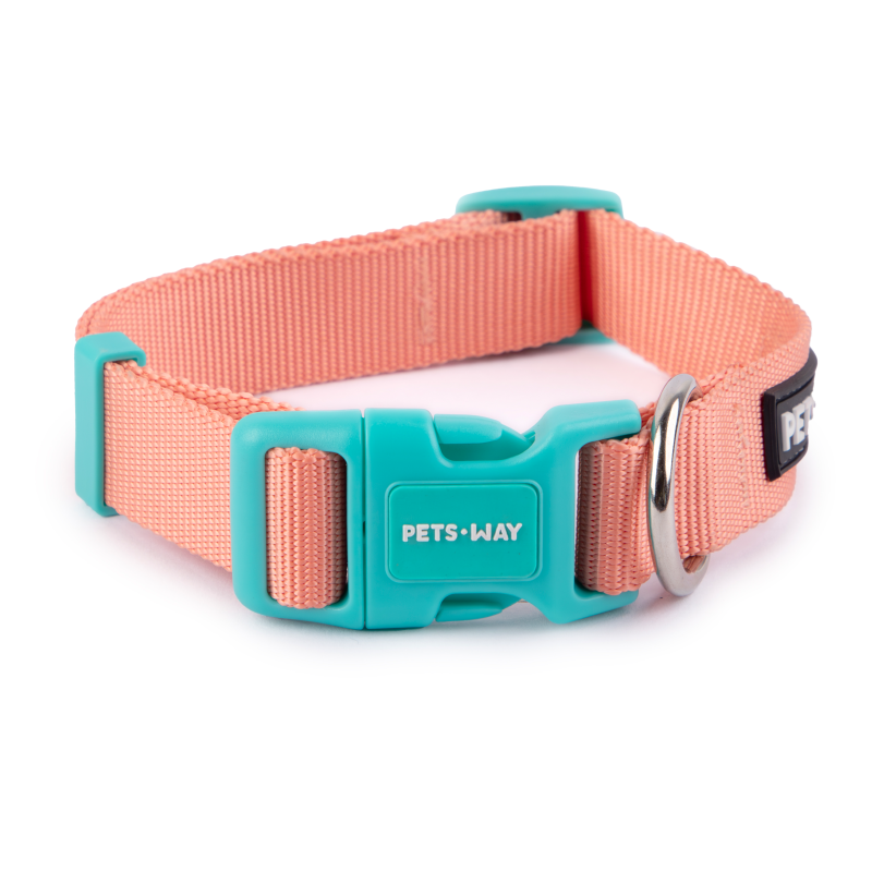 Peach Dog Collar