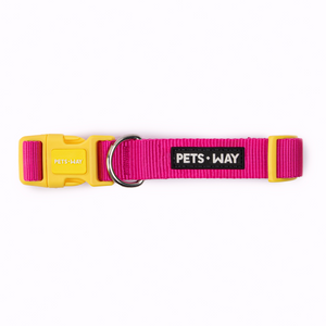 Fuschia Dog Collar Leash Set
