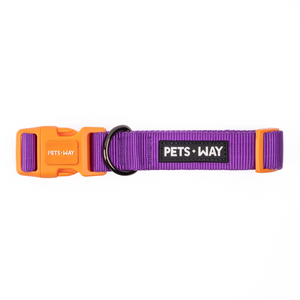 Amethyst Dog Collar Leash Set