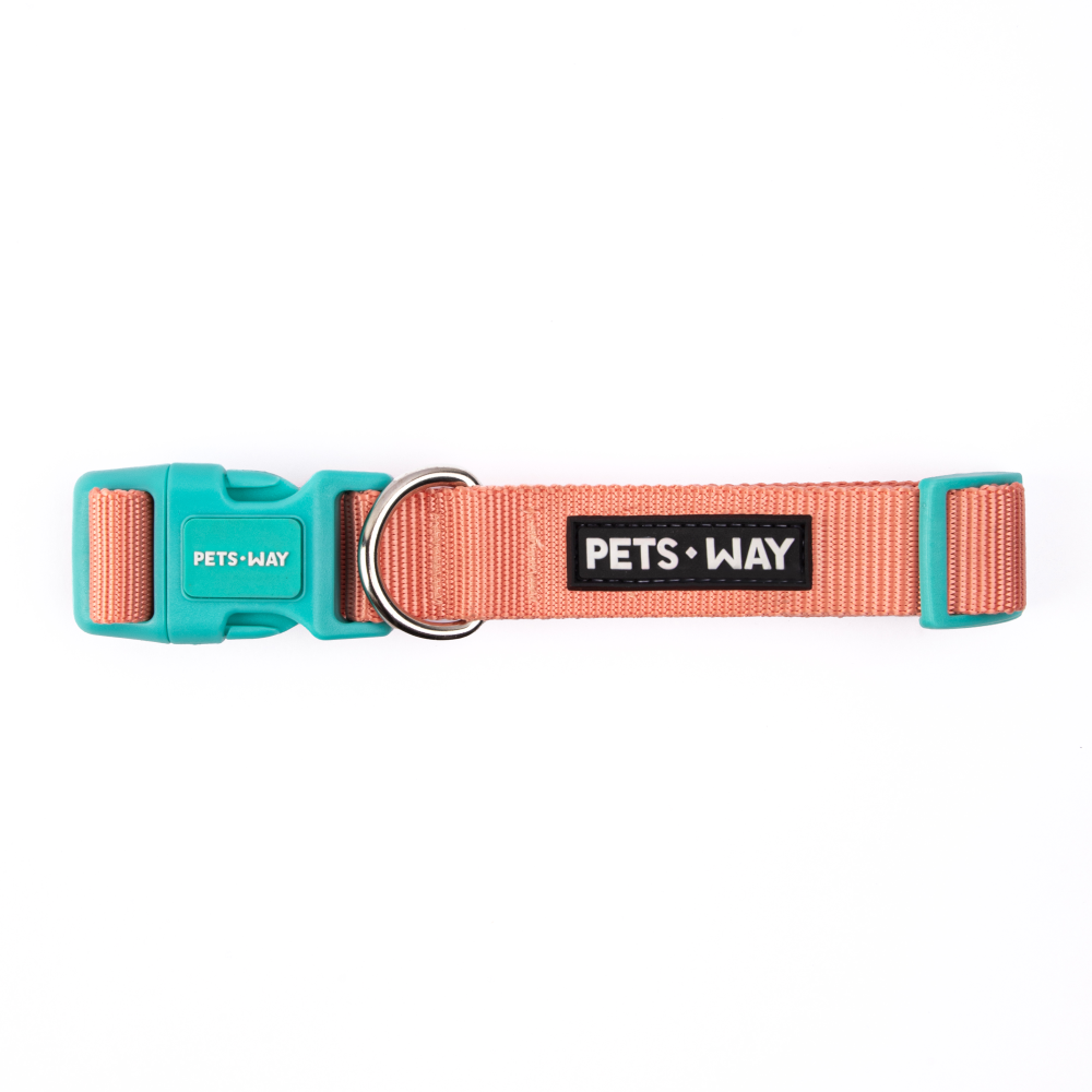 Peach Dog Collar