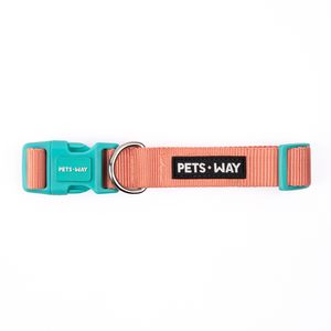 Peach Dog Collar Leash Set