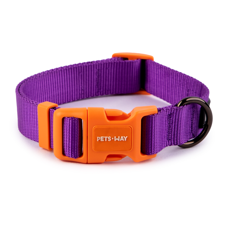 Amethyst Dog Collar