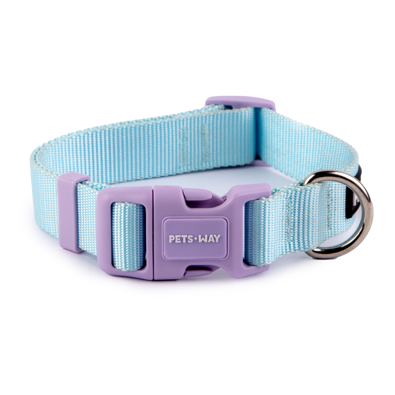 Sky Dog Collar