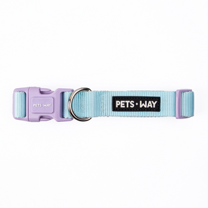Sky Dog Collar Leash Set