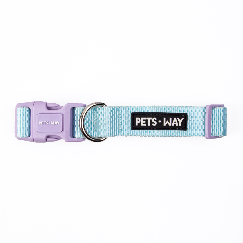 Sky Dog Collar