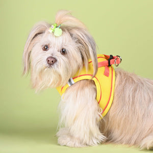 Yellow Full Body Cloud-Fit Harness (Small Breed)