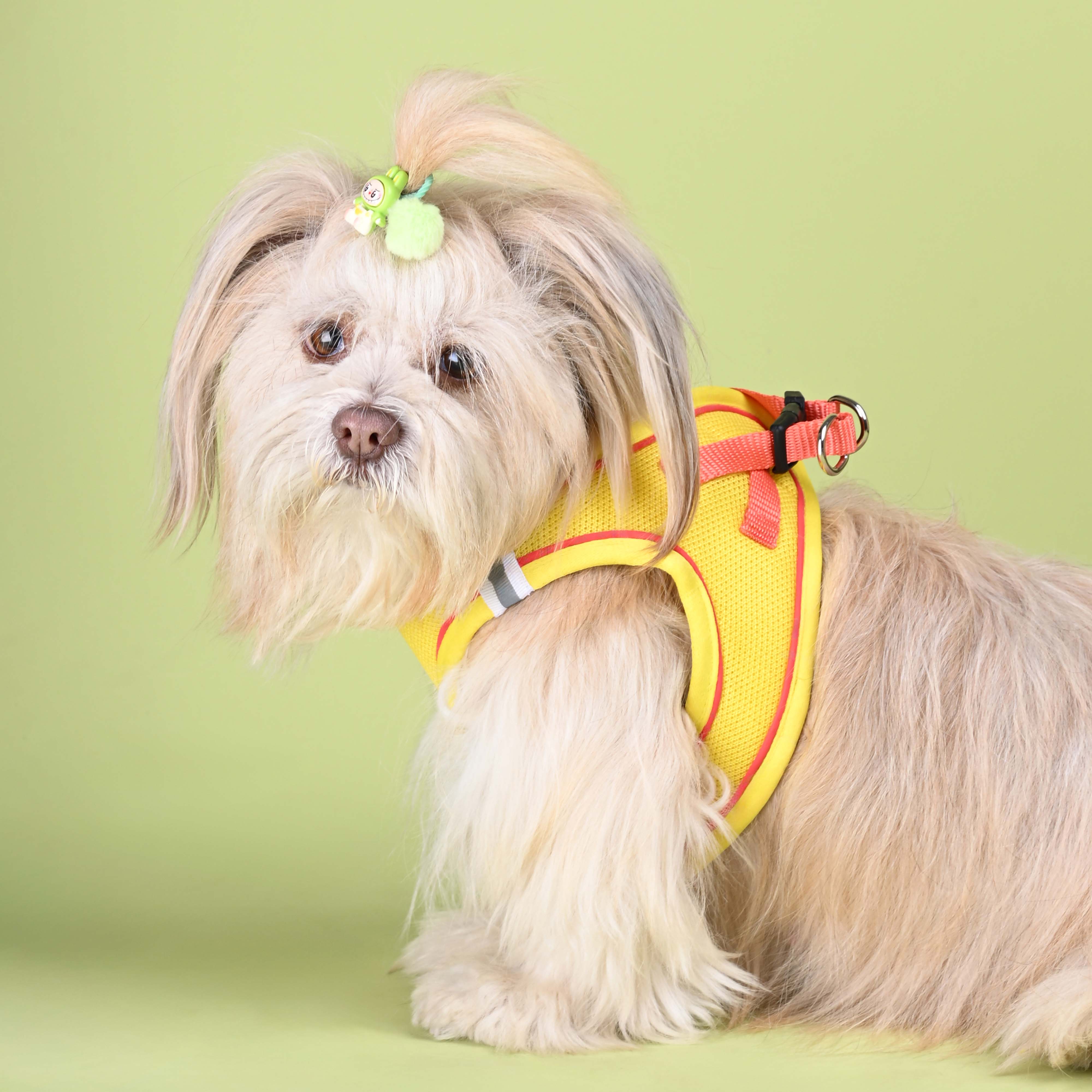 Yellow Full Body Comfort Harness (Small Breed)