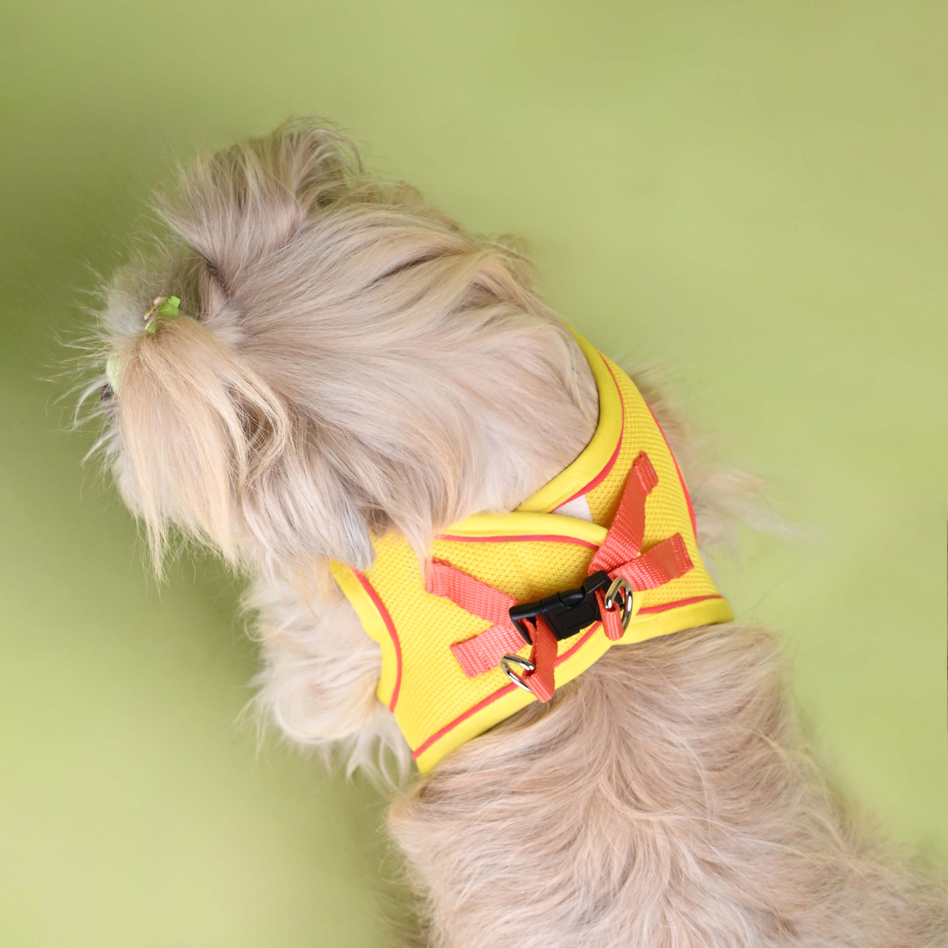 Yellow Full Body Comfort Harness (Small Breed)