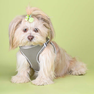 Grey Full Body Cloud-Fit Harness (Small Breed)