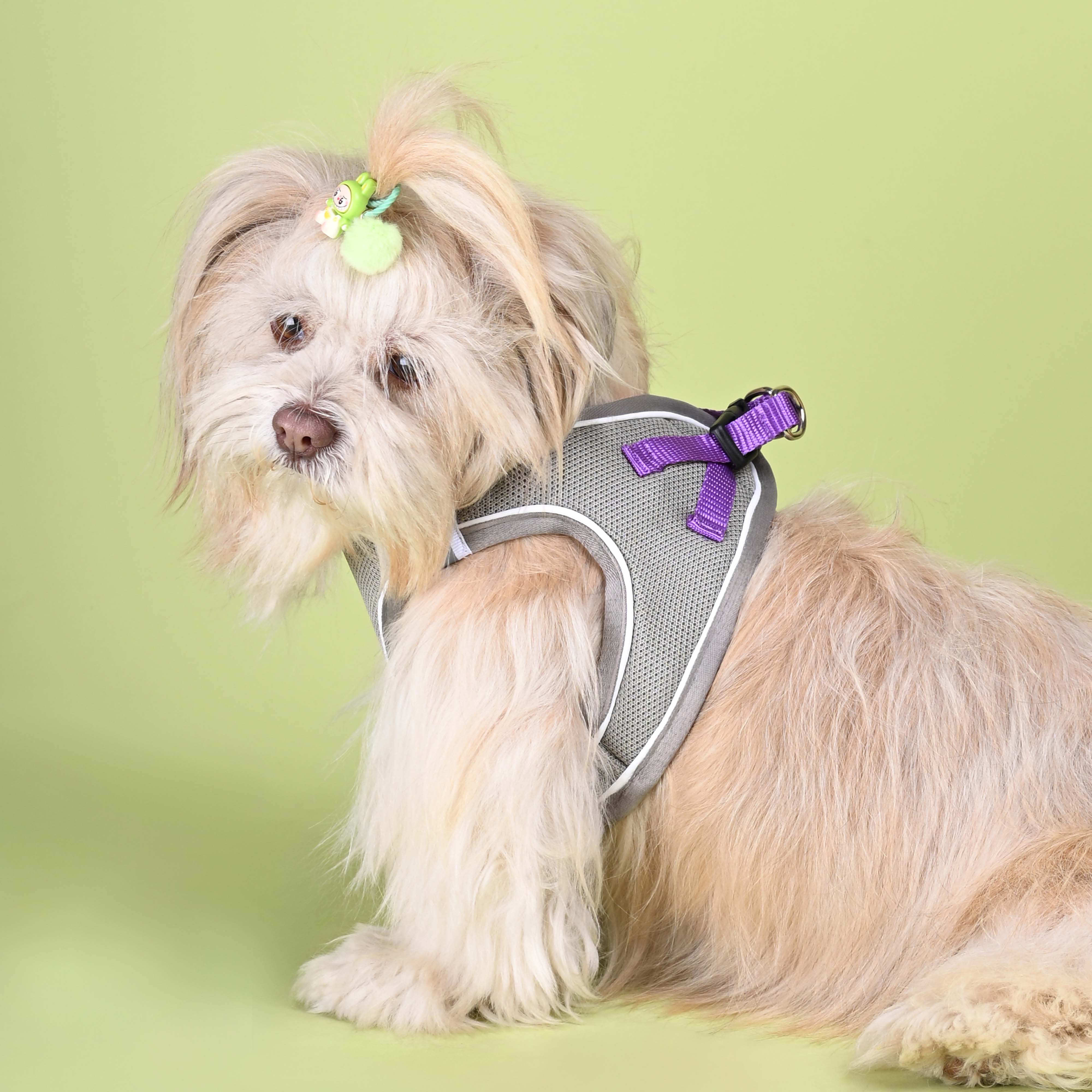Grey Full Body Comfort Harness (Small Breed)