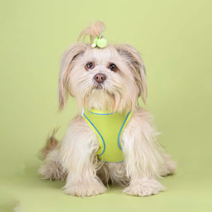Neon Full Body Cloud-Fit Harness (Small Breed)