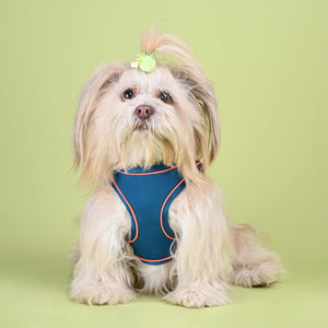 Blue Full Body Comfort Harness (Small Breed)