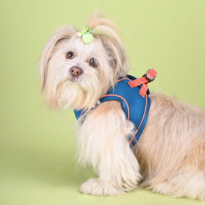 Blue Full Body Comfort Harness (Small Breed)
