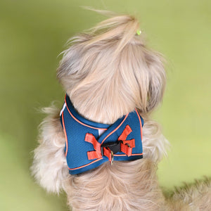 Blue Full Body Comfort Harness (Small Breed)