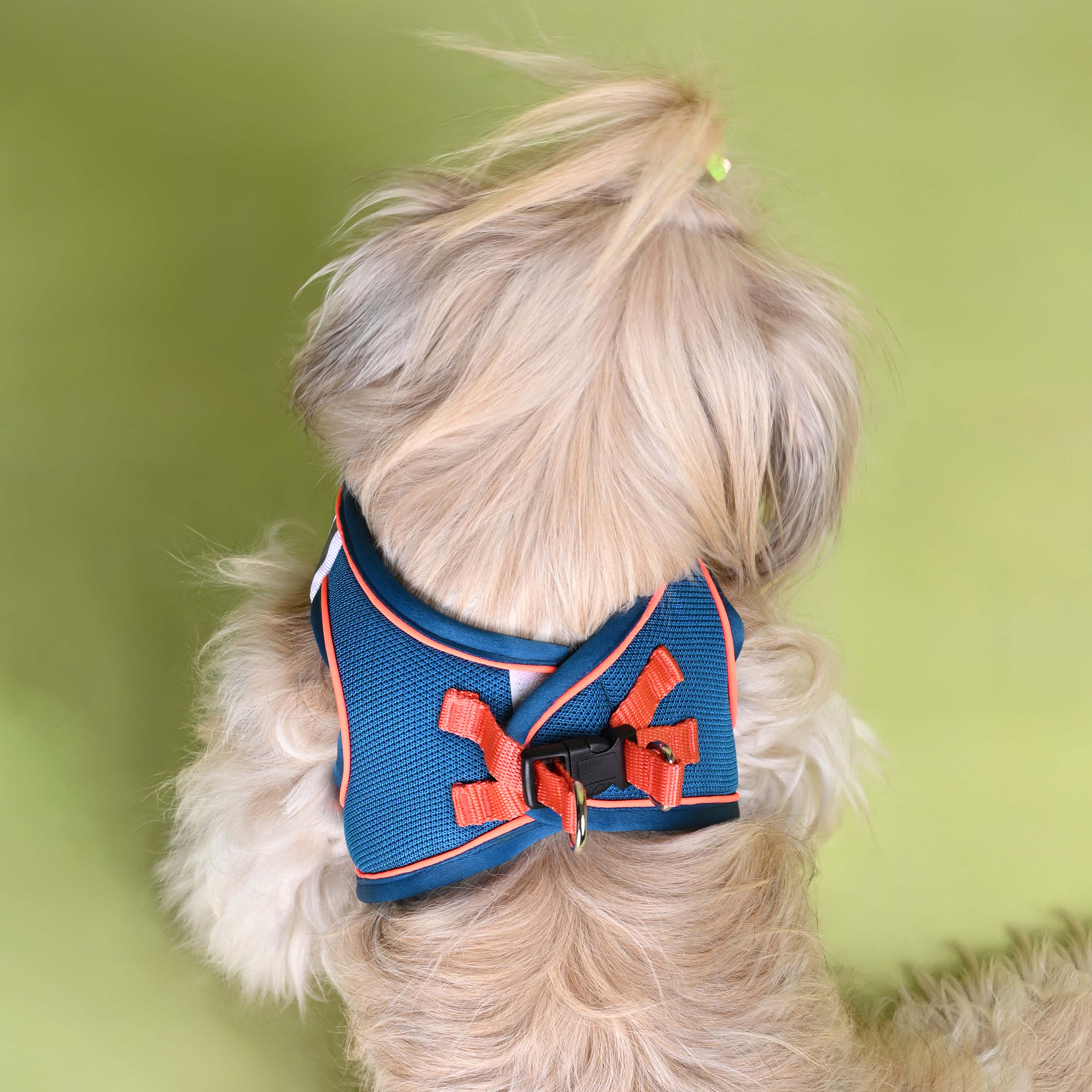Blue Full Body Comfort Harness (Small Breed)
