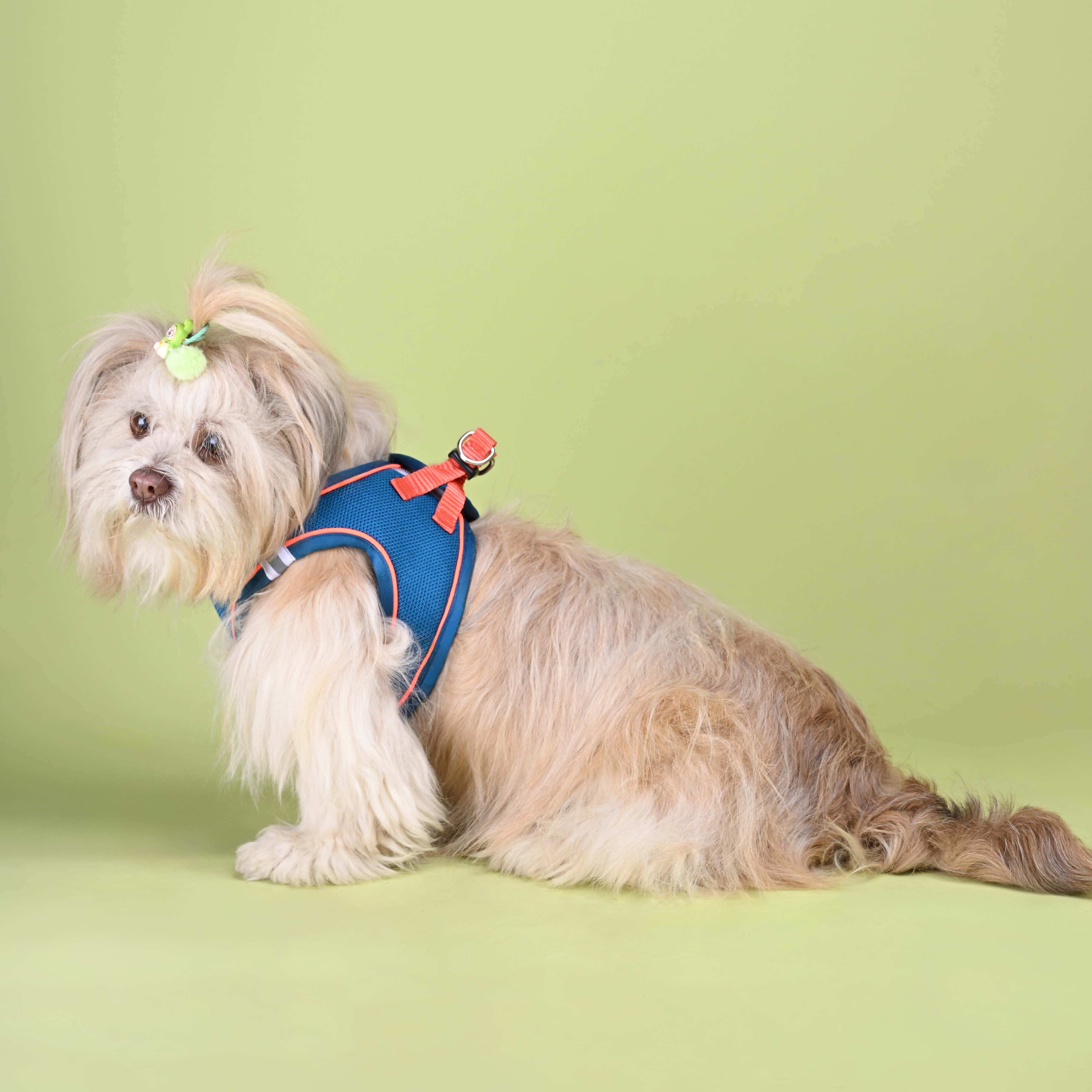 Blue Full Body Comfort Harness (Small Breed)