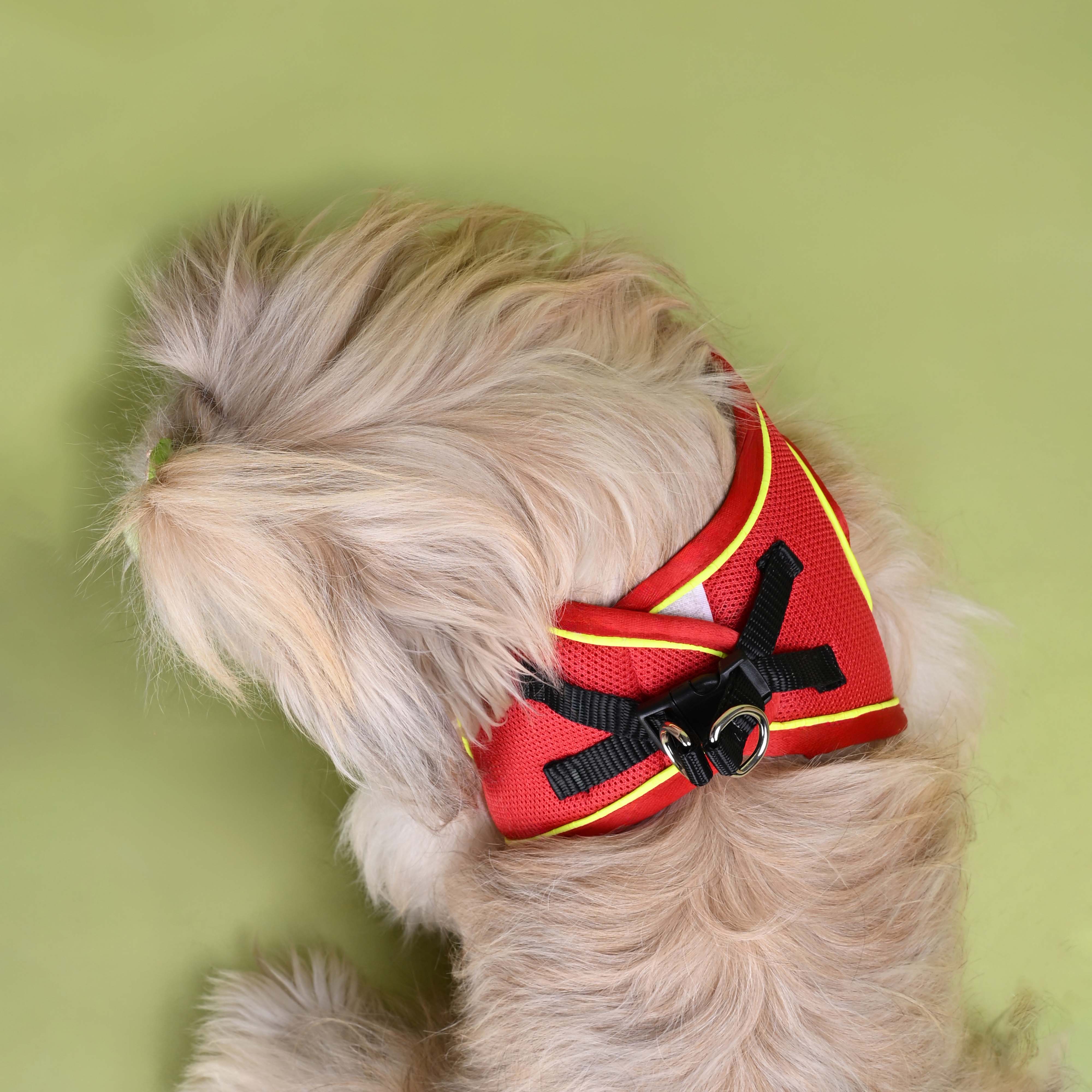 Red Full Body Comfort Harness (Small Breed)