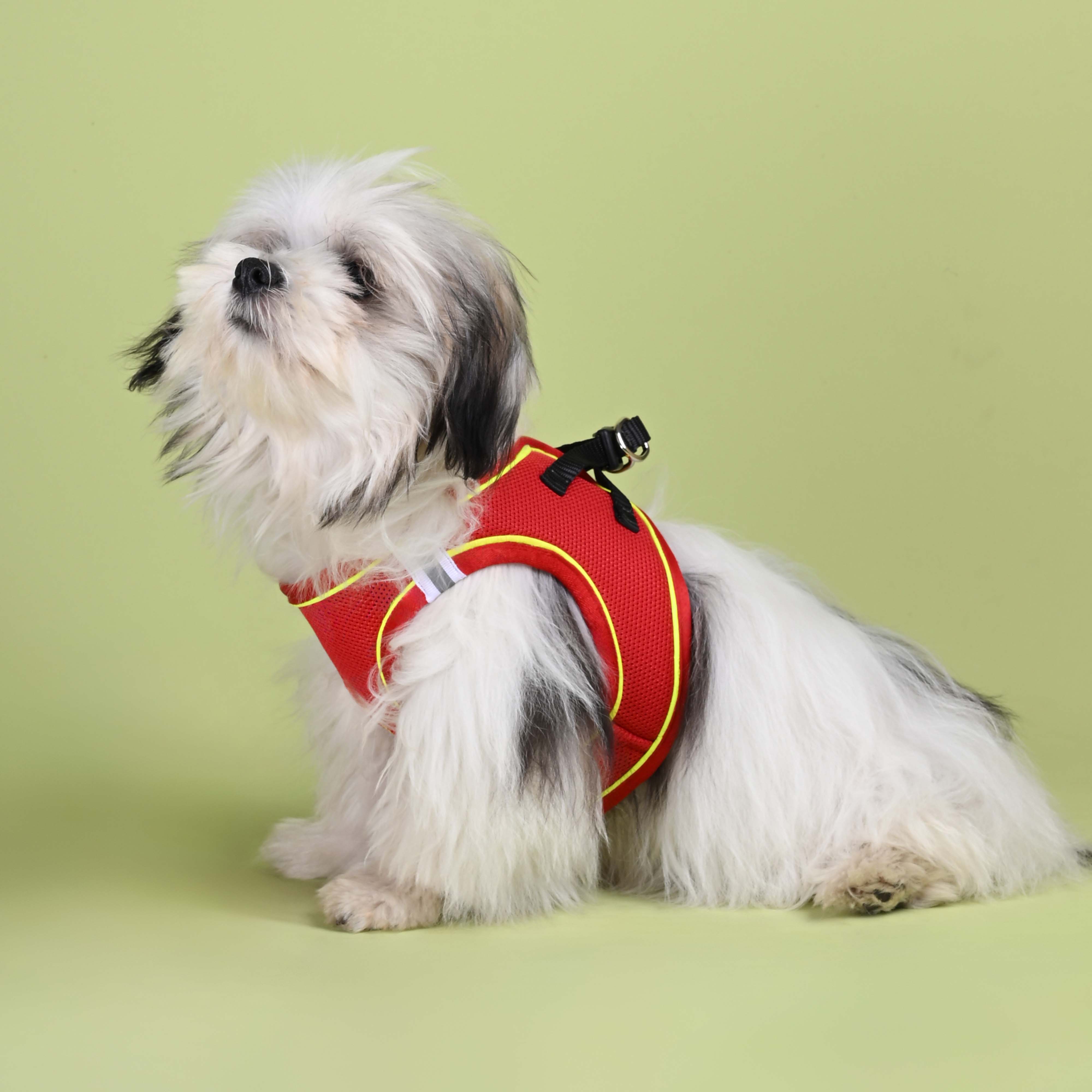 Red Full Body Comfort Harness (Small Breed)