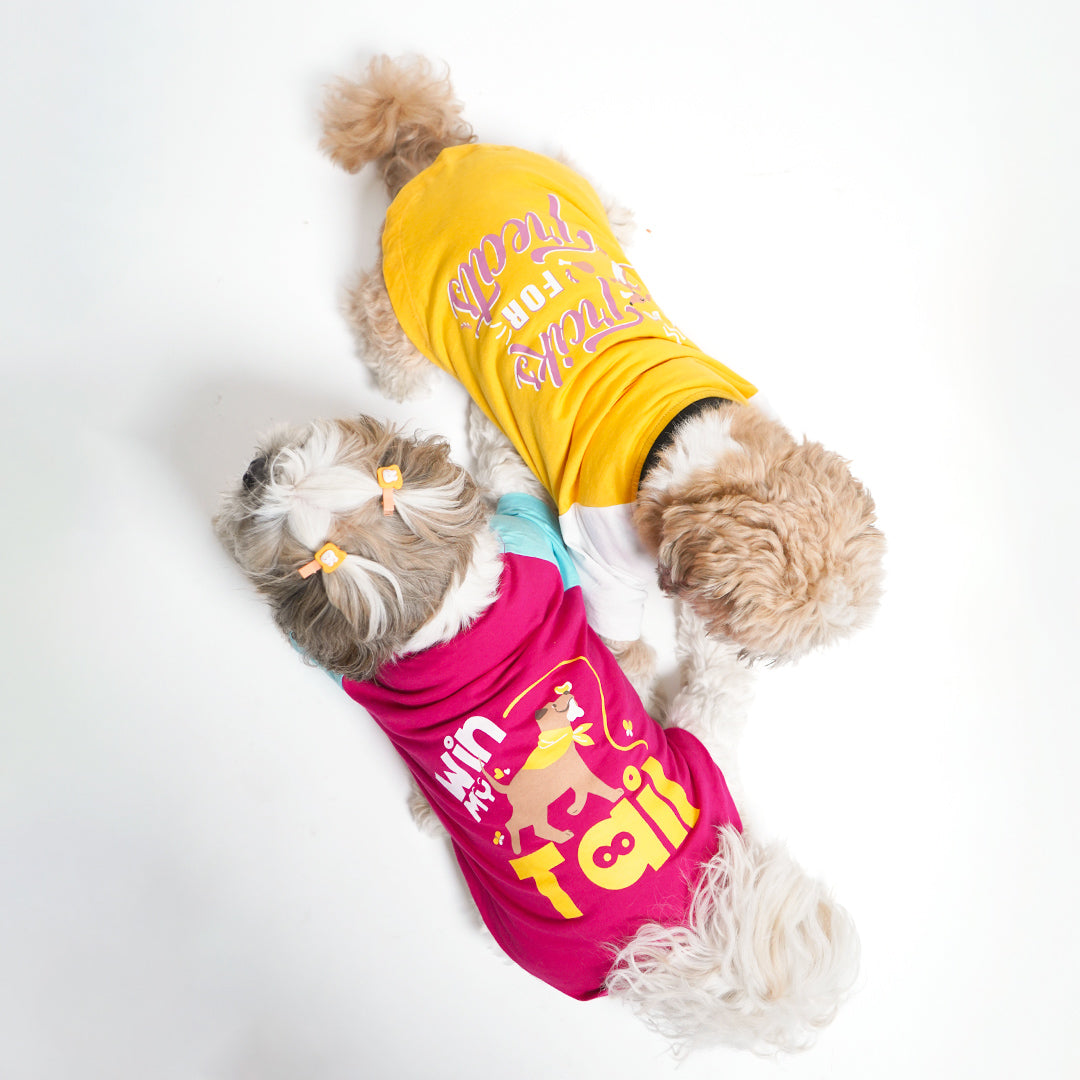 Pawfect Dog - T shirt Combo - Pack of 2