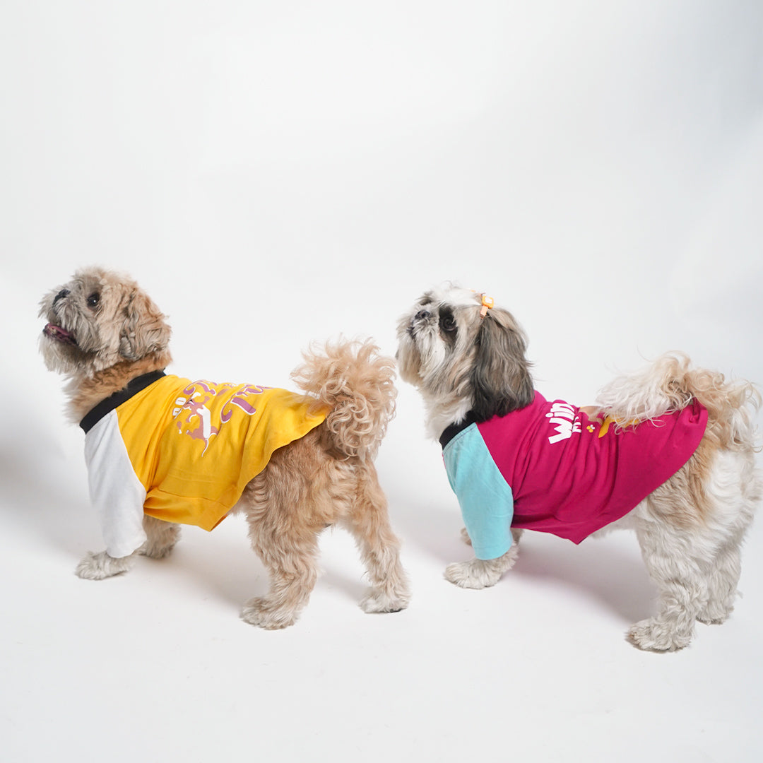 Pawfect Dog - T shirt Combo - Pack of 2