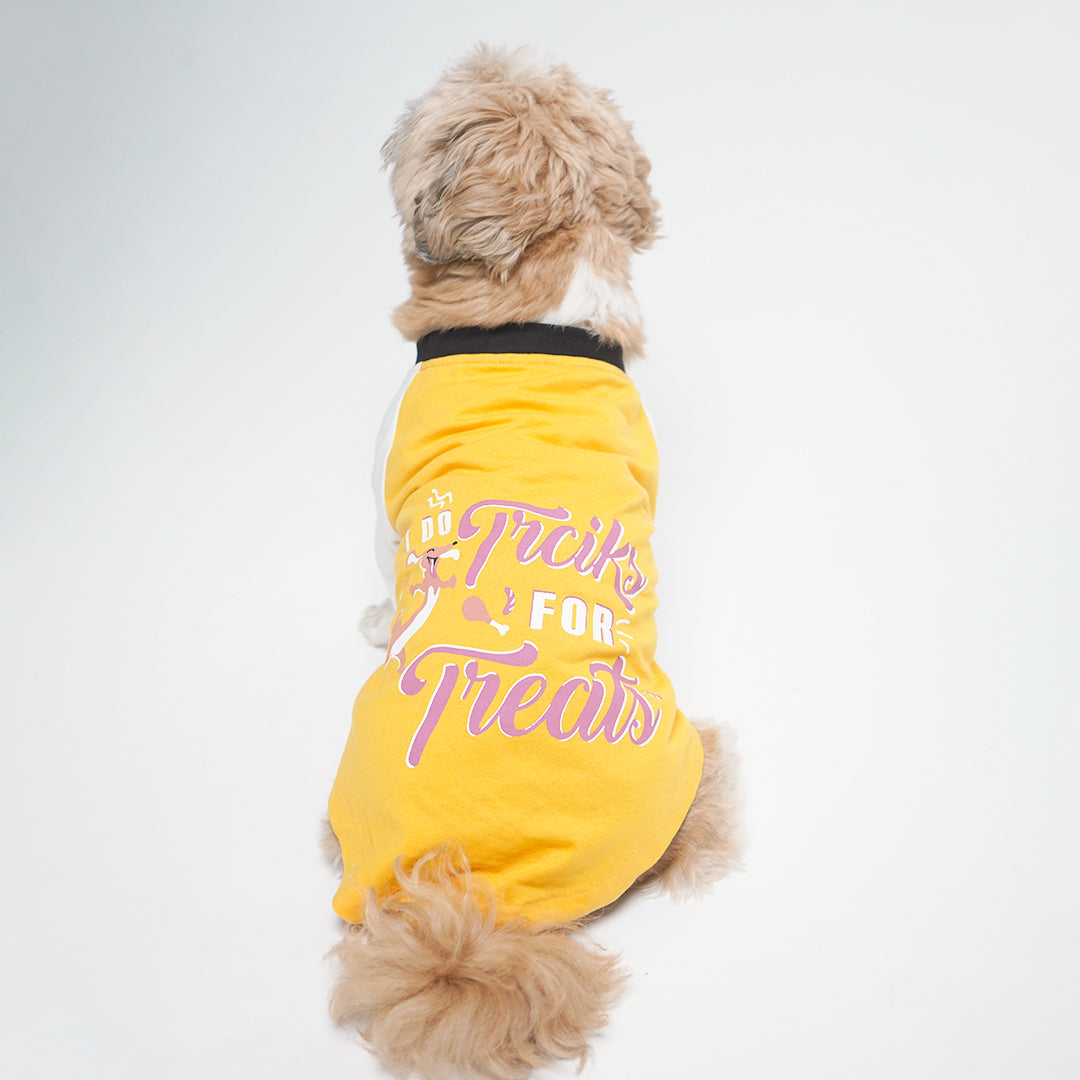 Amber Dog T-Shirt