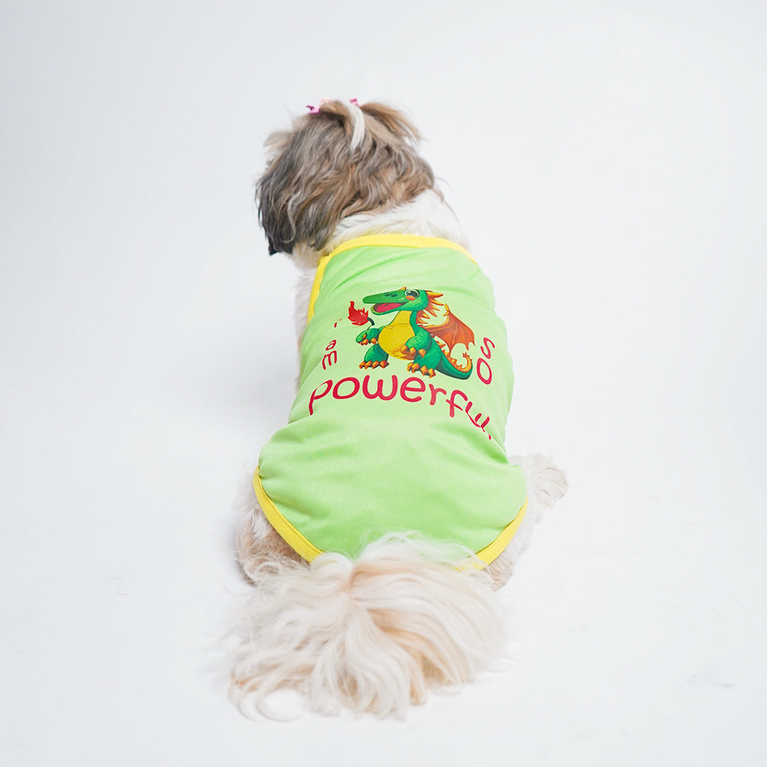 Pawfect Vest Combo - Pack of 3