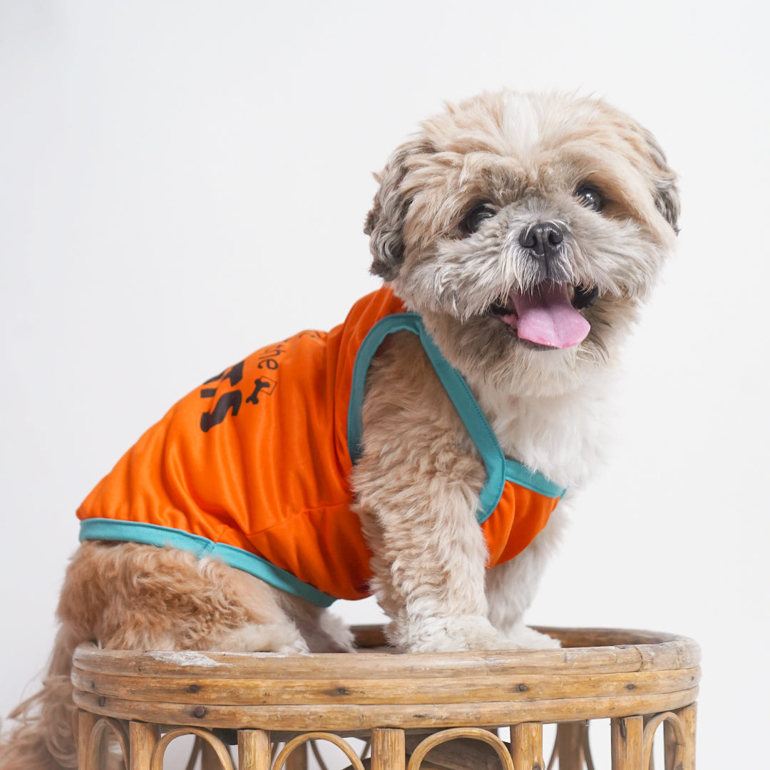 Treats Dog Vest