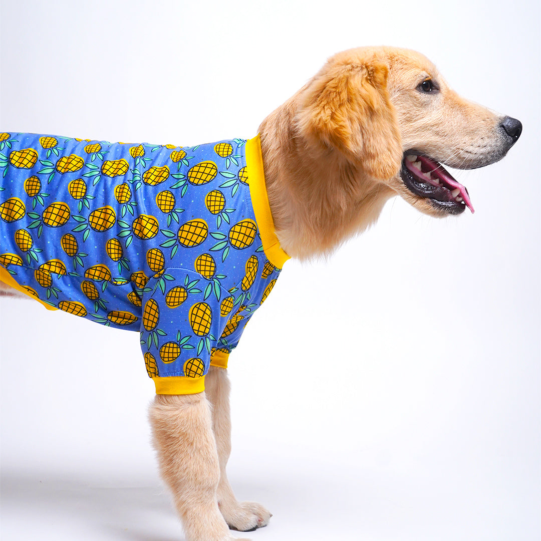 Pineapple Printed Dog T-Shirt