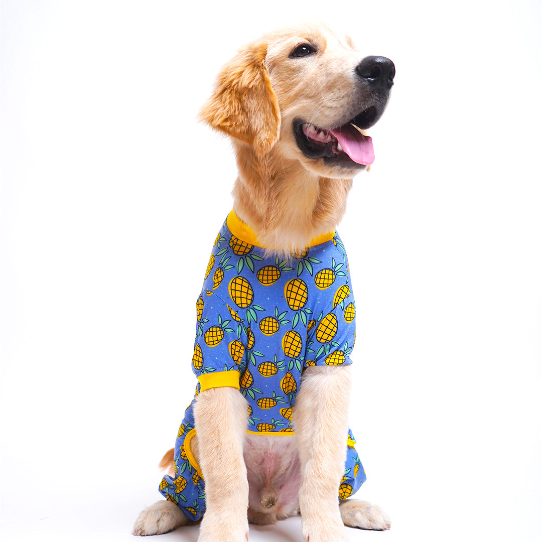 Pineapple Printed Dog Jumpsuit