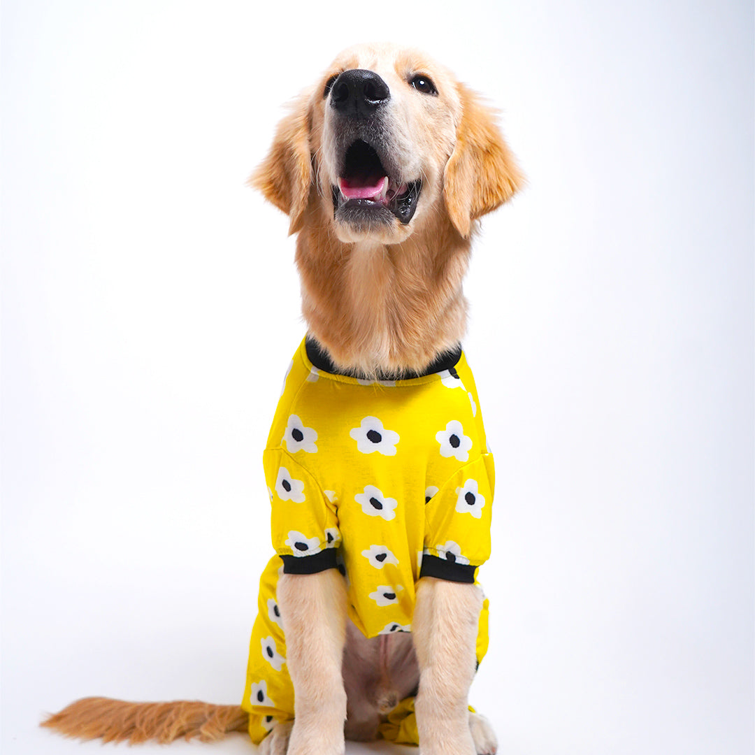 Daisy Printed Dog Jumpsuit