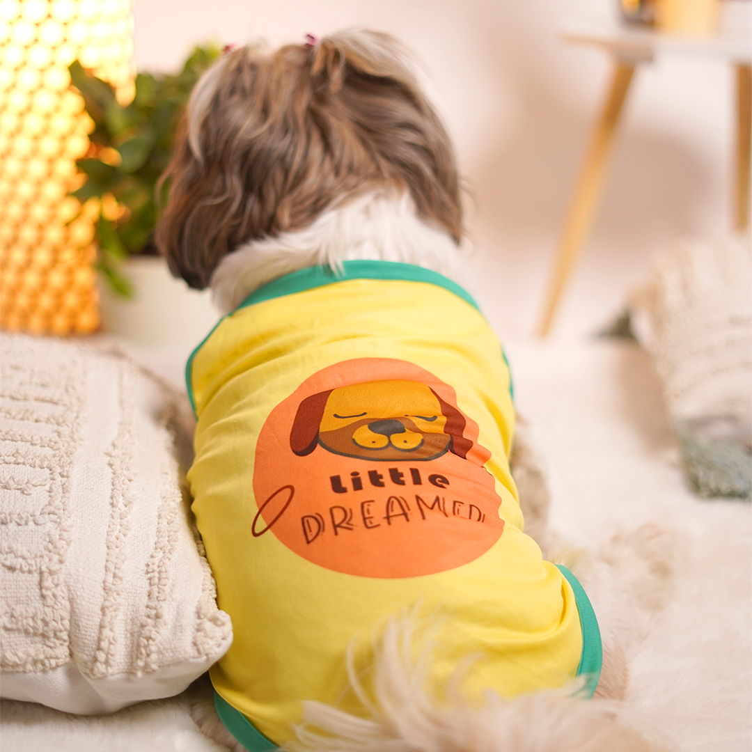 Sunshine Dog Vest