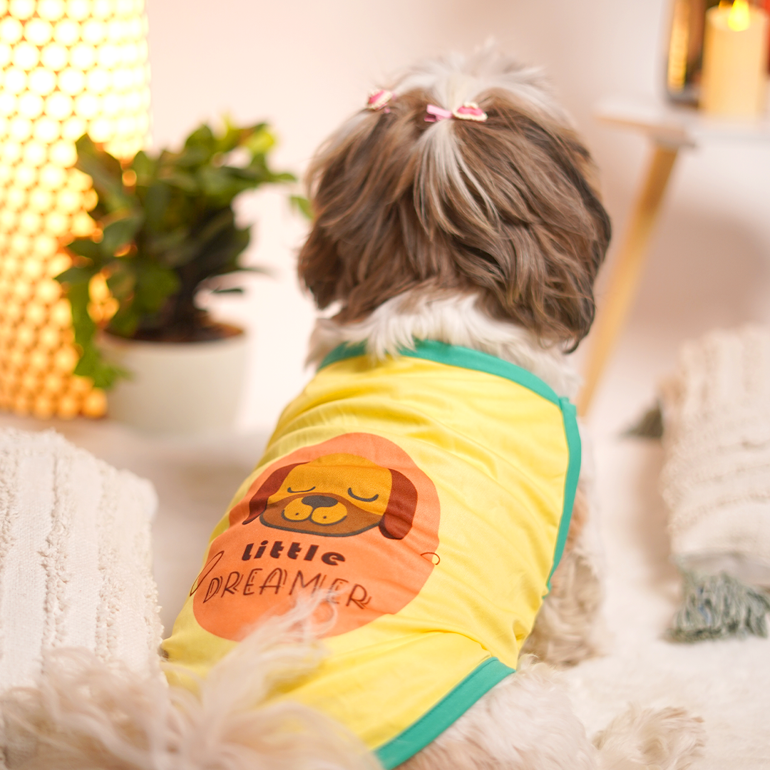 Sunshine Dog Vest