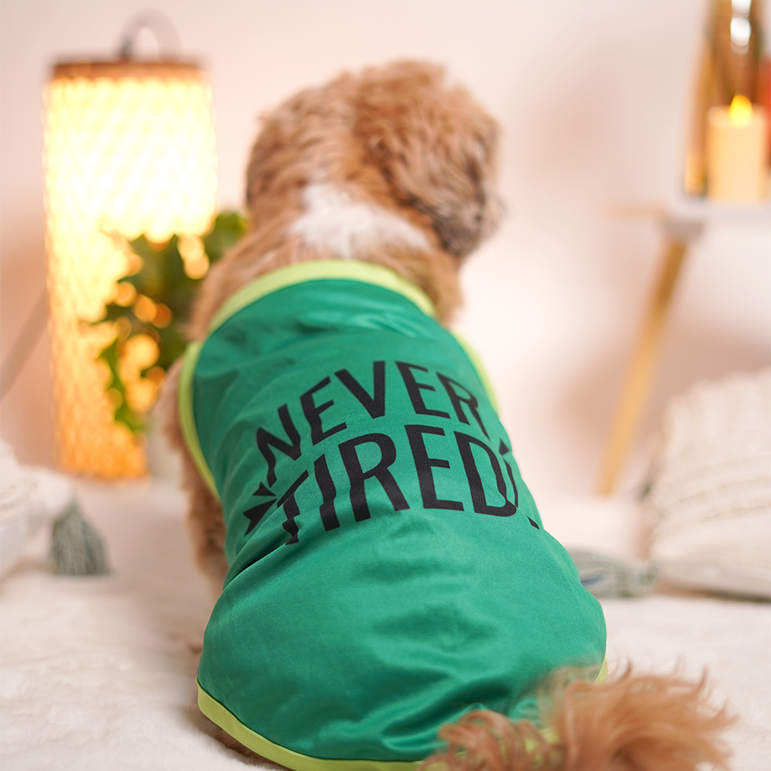 Never Tired Dog Vest