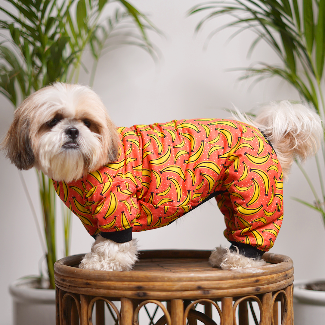 Mad Over Banana Printed Dog Jumpsuit