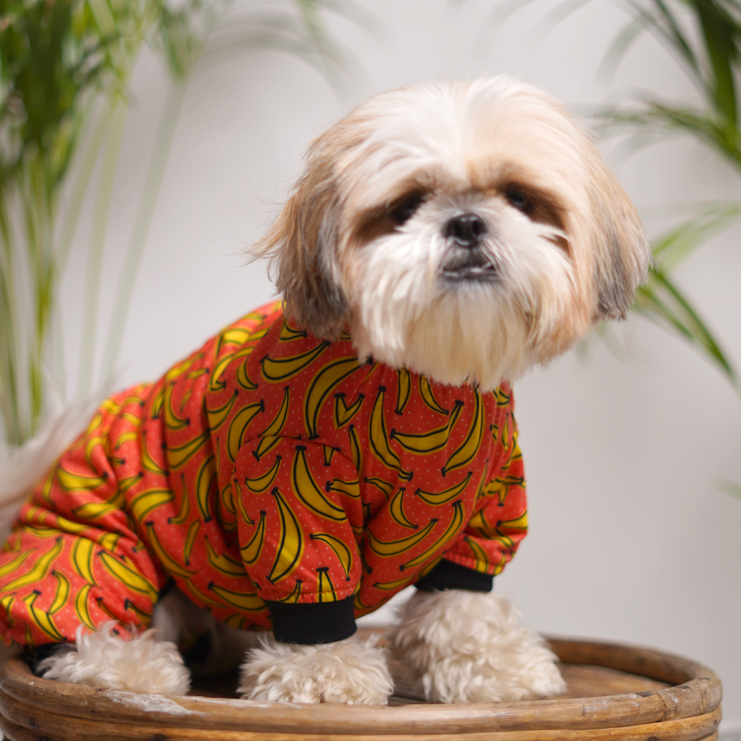 Mad Over Banana Printed Dog Jumpsuit