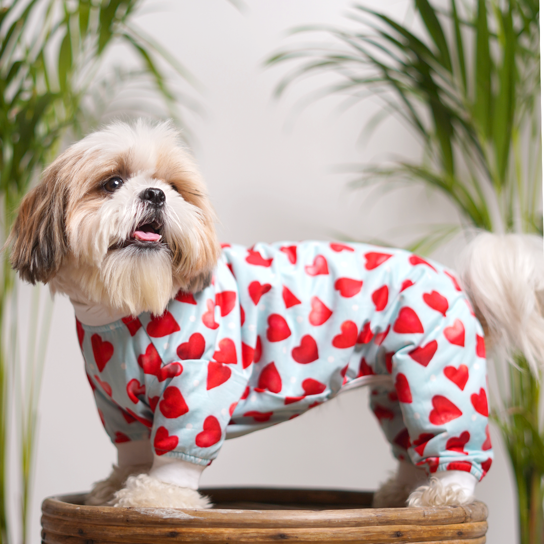 Little Heart Printed Dog Jumpsuit