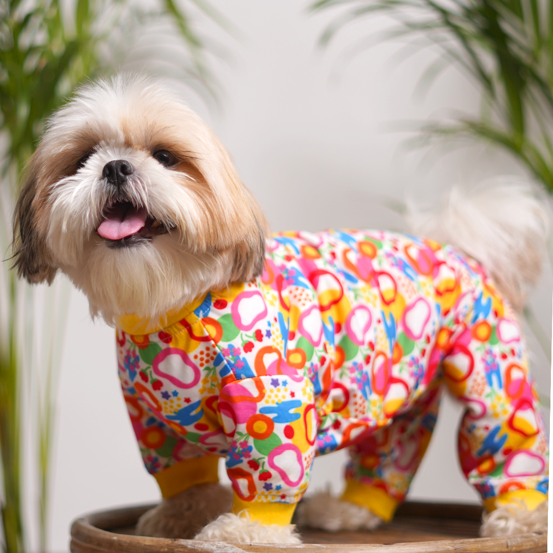 Blast Printed Dog Jumpsuit