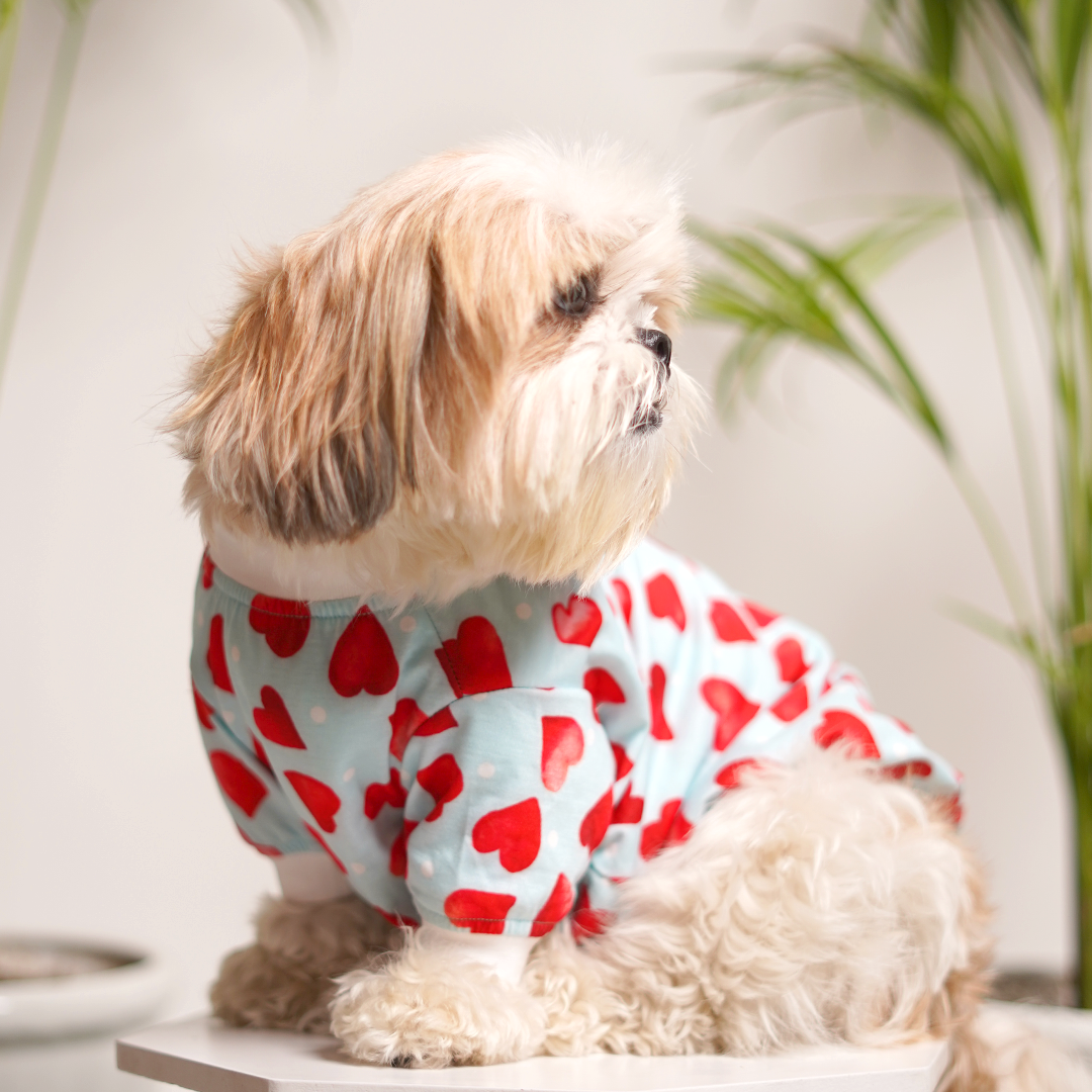 Little Heart Printed Dog T-Shirt