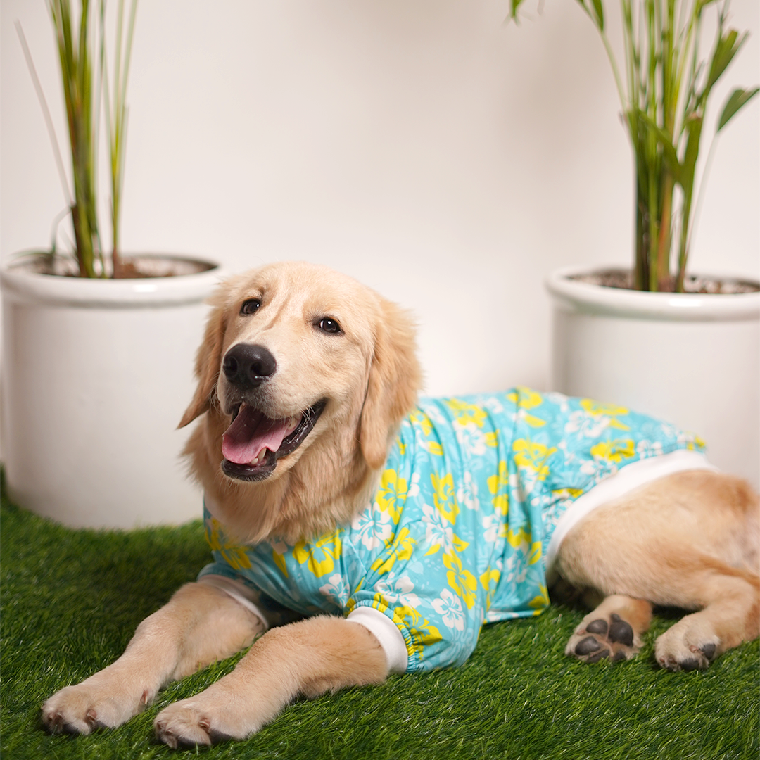 Hawaii Printed Dog T-Shirt